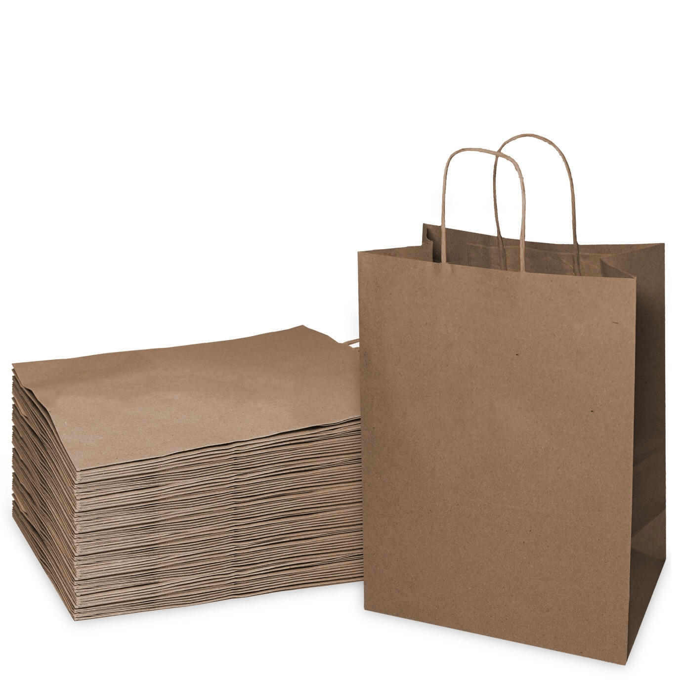 Paper and Plastic(decomposable) bags